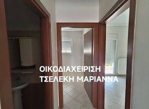 Διαμέρισμα για ενοικίαση - Κιλκίς, - Photo 5