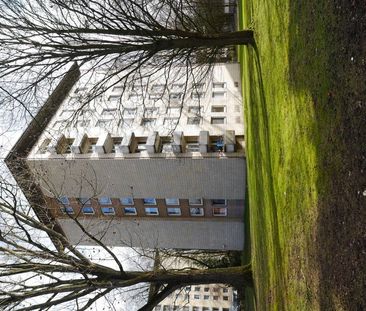 Moderne 2-Zimmer-Wohnung mit Balkon - Foto 3