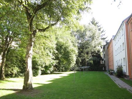 Das Ganze mal in Richtig Schön! - Foto 3