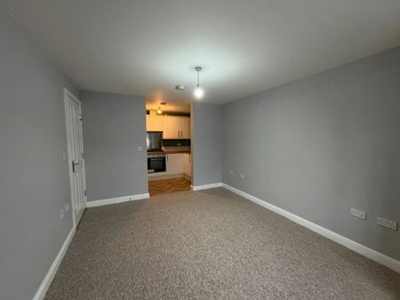 Palatine Street, Denton, Manchester, M34 3JJ - Photo 3