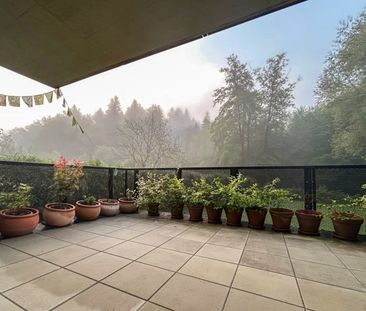 sonnige 2-Zimmerwohnung mit großer Terrasse am Stiftingbach - Foto 4