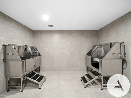 203/70 Allara Street, City ACT 2601 - Apartment For Rent | Domain - Photo 5