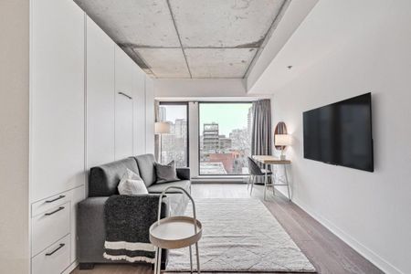 Appartement à louer - Montréal (Ville-Marie) (Centre) - Photo 3