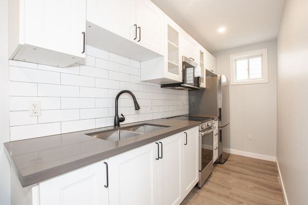 **BEAUTIFUL** 1 BEDROOM MAIN UNIT IN HAMILTON!! - Photo 1