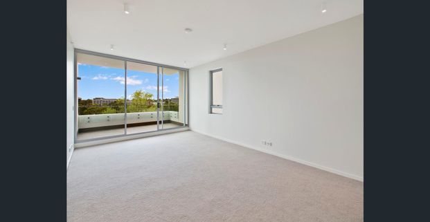 Walking distance to Macquarie Shops, public transport and Macquarie University! - Photo 1