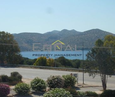 Μονοκατοικία για ενοικίαση Ανάβυσσος - Photo 5
