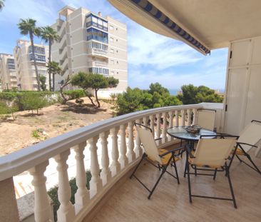 Arenales Del Sol - Photo 1