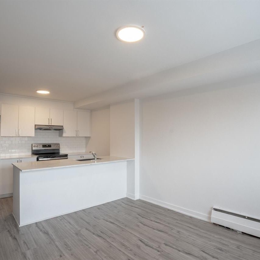 2 Bed, 1 Bath - 50 Rue Crépeau, Saint-Laurent - Photo 1