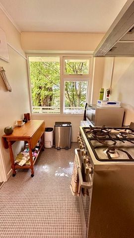 This beauty is such a cutie - Photo 4