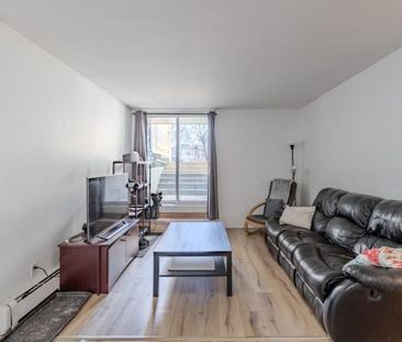 Appartement 4 ½ à louer Lévis janvier 2026 - Photo 1