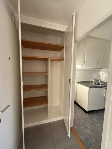 Appartement lumineux de 2 pièces au centre ville - Foto 4