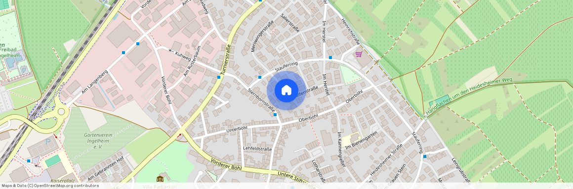 Welfenstraße 25, 55218 Ingelheim am Rhein