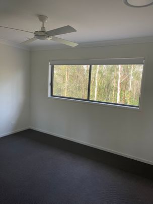 Albany Creek - Photo 1