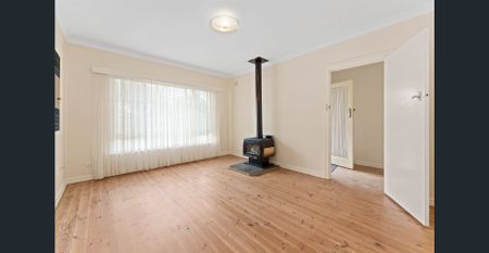 Done Up Homestead in Great Location - Photo 2