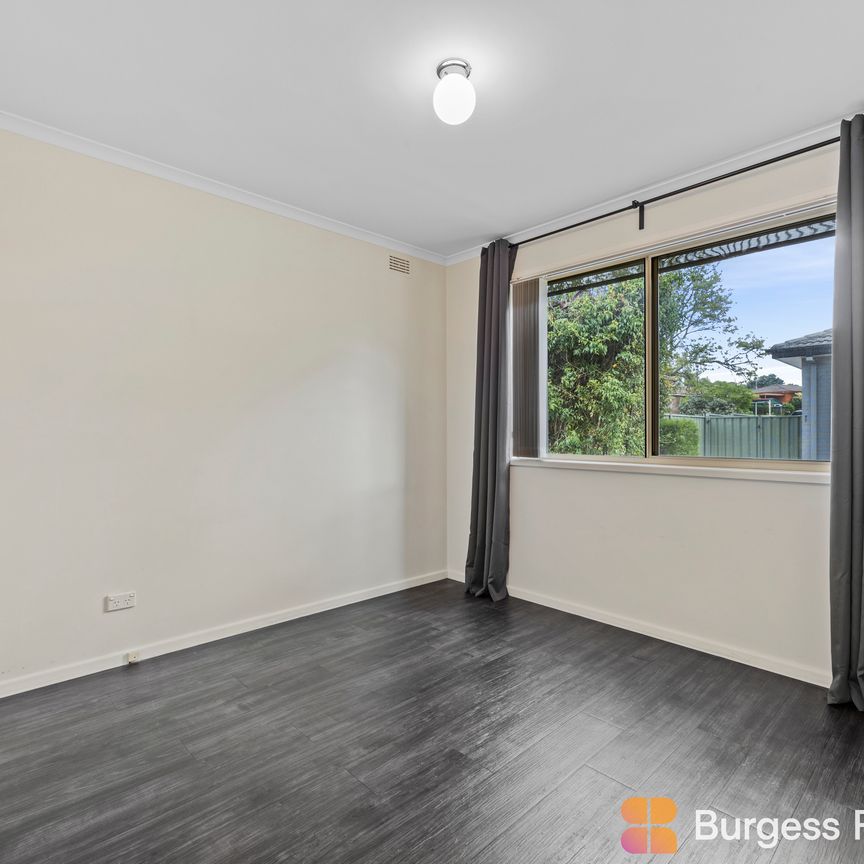 65A Carbeen Street, Rivett ACT 2611 - Apartment For Rent | Domain - Photo 1