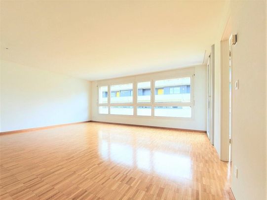 5 ½ Zimmer-Wohnung in Aarau mieten - Foto 1