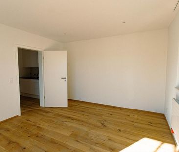 1.0 room apartment in Therwil - Photo 6