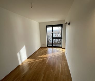 Traumwohnung mit Rheinblick - Foto 5