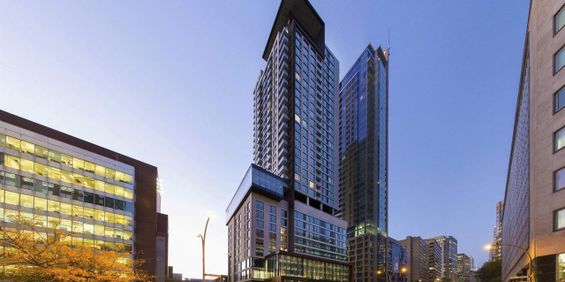 1 Bedroom - 280 René-Lévesque Ouest, Montréal - Photo 3