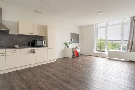 Hoptillepad en Horstenberg - Photo 2