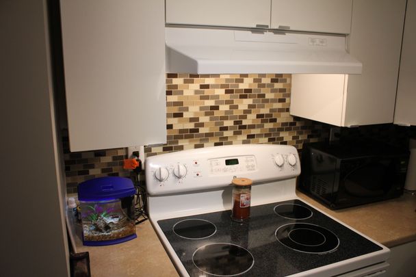 For Lease - 64 DAPHNE -LOWER Crescent Unit# 2, Barrie, Ontario - Photo 1