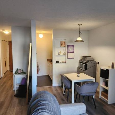 VGH – Lovely Studio Suite – Available Jan. 1st!(1233 W. 11 Ave) - Photo 1