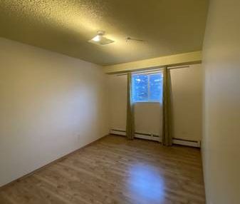 2-Bedroom Suite with in-unit Laundry near Stadium Edmonton LRT Station - Photo 4