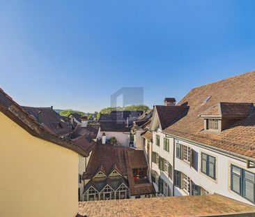 ABOVE THE ROOFS OF SOLOTHURN - Photo 4