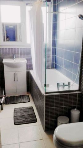 2 Bed / 1 Bath - Photo 5
