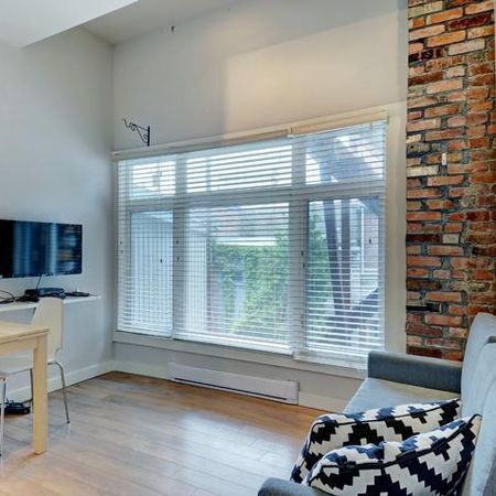 Loft entièrement meublé à louer Saint-Jean-Baptiste juillet 2026 - Photo 4