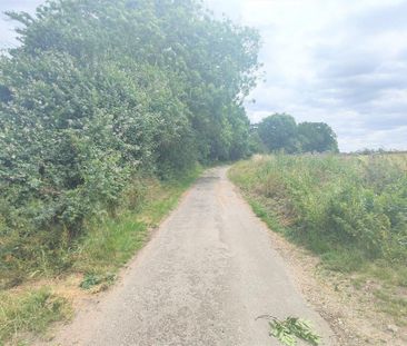 3 bedroom house to rent - Photo 1