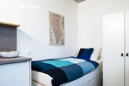 Pronájem moderního bytu 1+kk (Single) u Vaňkovky – BEZ PROVIZE! - Photo 2