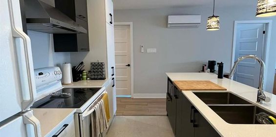 Immeuble - 909-931 Lamarche Grand 4 1/2 Dans Un Immeuble Récent - Photo 3