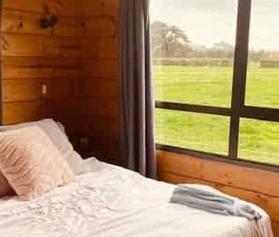 Peaceful Rural Outlook - Photo 3