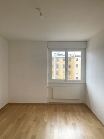 Plaine de Plainpalais - Université - Photo 4