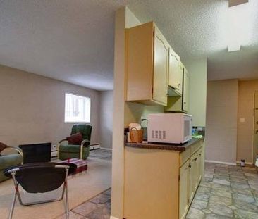 2 Bed unit across from Bowen Park close to amenities. - Photo 2