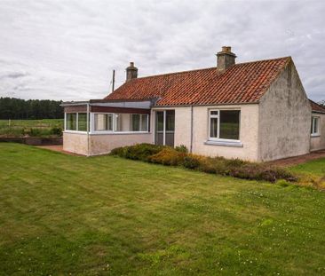 2 bedroom bungalow to rent - Photo 2