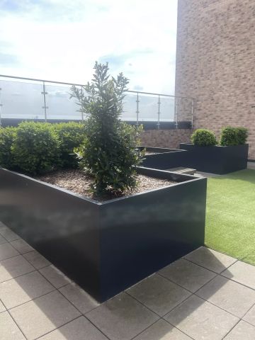 Platinum Ensuite - Photo 5