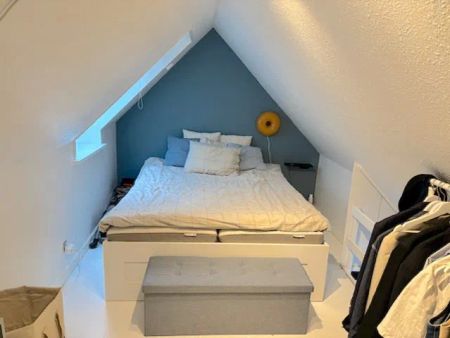 Charmerende lejlighed med hems i hjertet af Aalborg - Photo 4