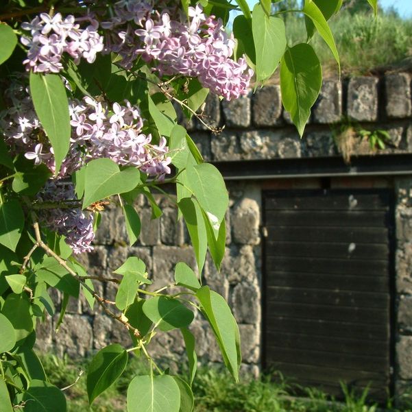 Blodriskegränd 3 C - Photo 1