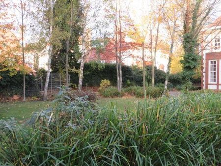 Salisbury Street - Photo 3