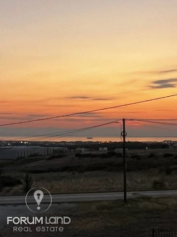 Μονοκατοικία προς Ενοικίαση 217 τ.μ. - 2.500€ - Φωτογραφία 4
