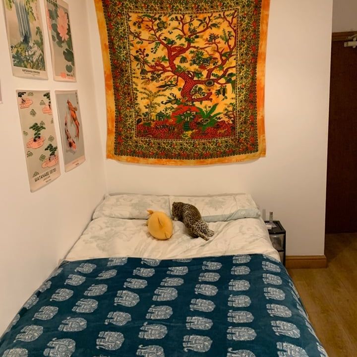 6 Bed End Terrace, Brailsford Road, M14 - Photo 1