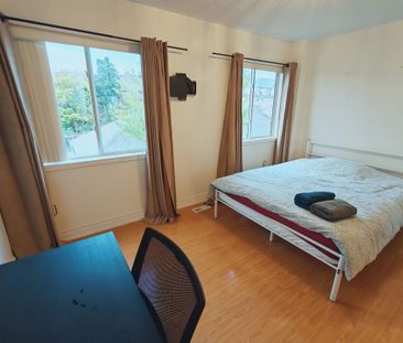 For Lease - 188 Bantry Avenue, Richmond Hill, Ontario - Photo 4