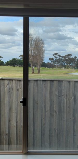 Williams Landing - Photo 1