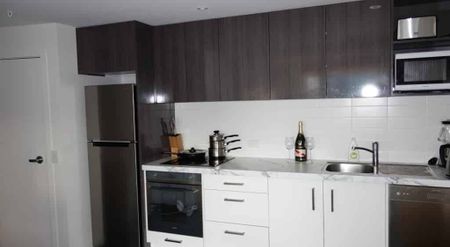 11th floor sunny 1 bedroom -Elevate Apartments - Photo 4