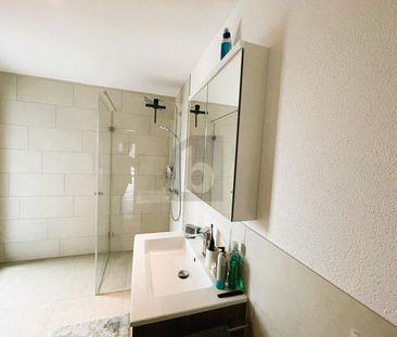 DREAMLIKE VIEW OF THE WILDEGG CASTLE - Photo 4