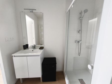 Location Appartement 1 pièce Meublé 17m² NANTES 44300 - Photo 3