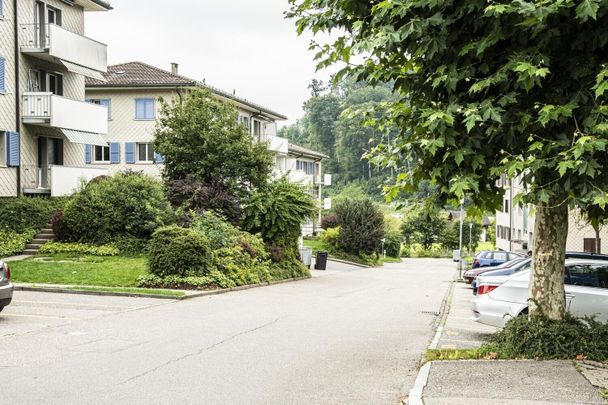 Quietly located 2.5 room apartment - Photo 1