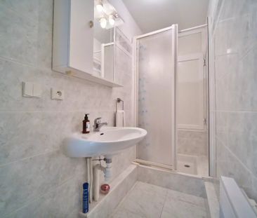 Location Appartement 1 pièce 29m² NICE 06000 - Photo 6